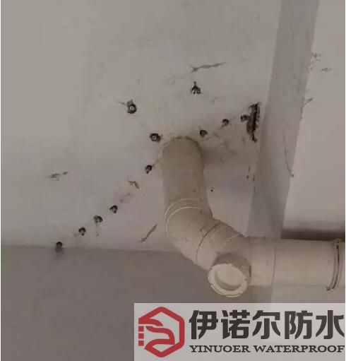 蘇州防水工程的基本內容是什么？